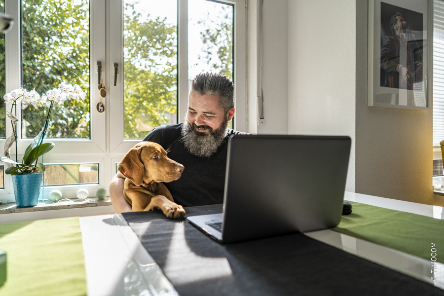 TIMOCOM_Homeoffice_Bezplatný převod